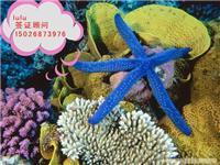 韓亞旅游信息咨詢 印度簽證材料簡化、陸路代辦價格與票務代售服務詳解